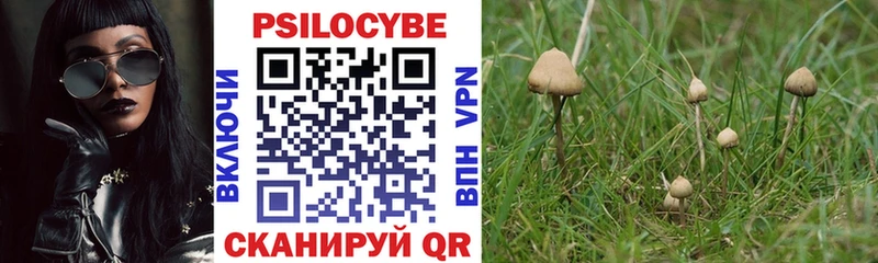 Псилоцибиновые грибы Psilocybe Пойковский