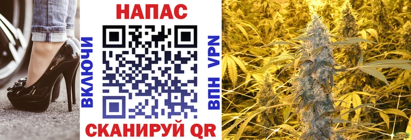 Конопля конопля  сколько стоит  мега   Пойковский 